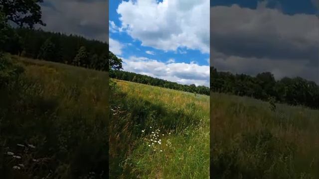 1000666945.mp4