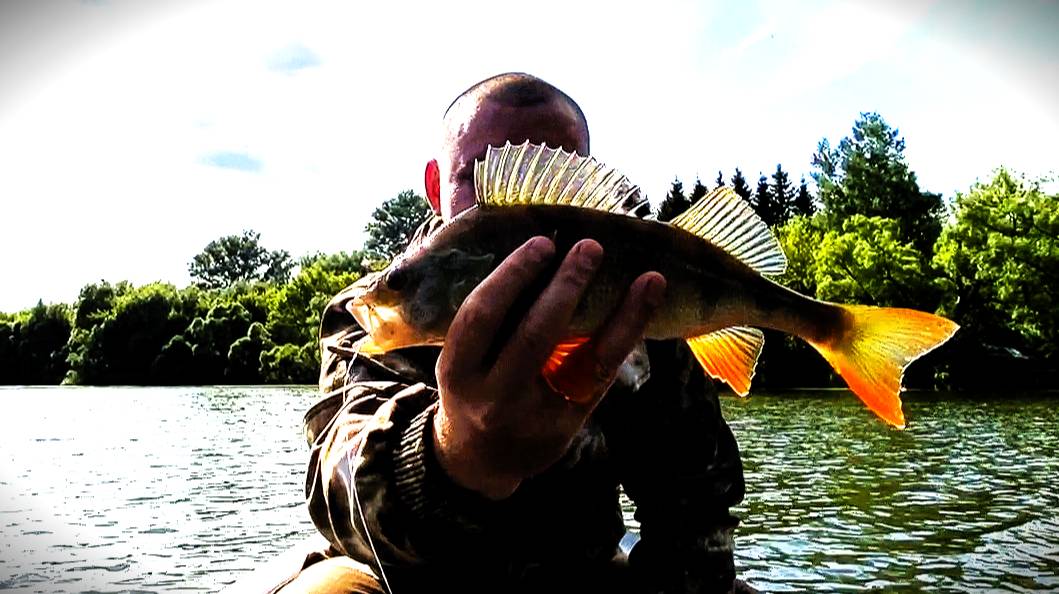 Бейткастинг. Очередная вылазка за полосатым 27.06.2025 🎣🐟
