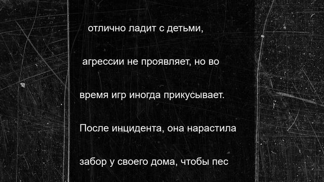 Свердловский суд взыскал с хозяйки собаки компенсацию для пострадавшей девочки
