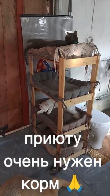 +7985 193 0027 сбер, элплат
