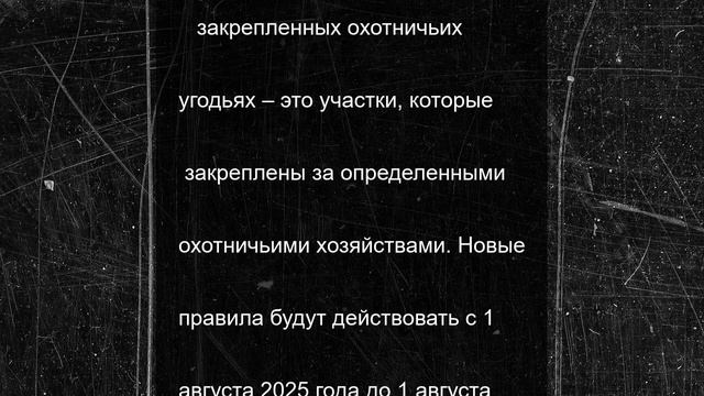 В Мурманской области разрешили добыть 158 медведей в следующем сезоне