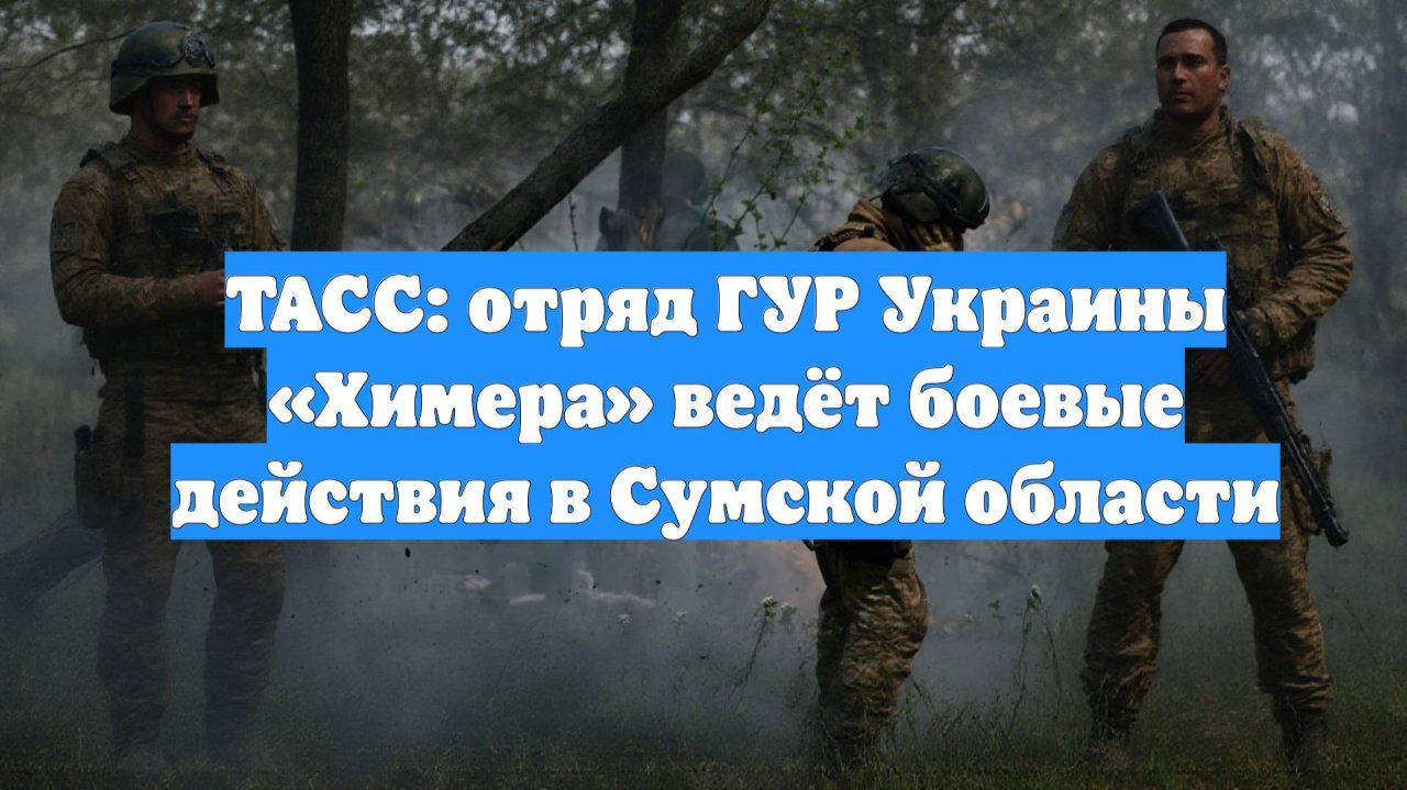 ТАСС: отряд ГУР Украины «Химера» ведёт боевые действия в Сумской области