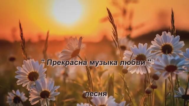 "Прекрасна музыка любви " песня, исп. Шинкарева Светлана
