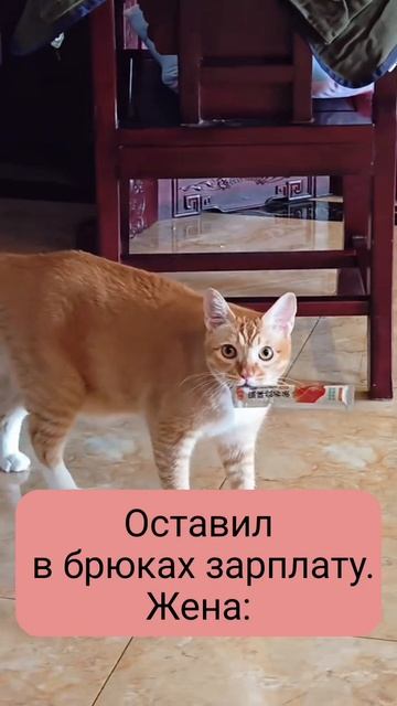 Жена тащит зарплату. #женщина #юмор