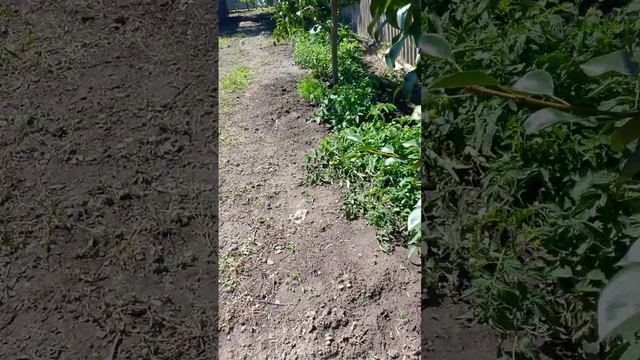 1000022339.mp4
