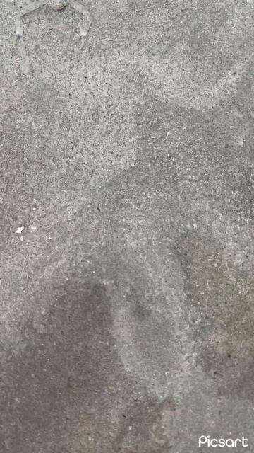 Искусство маскировки