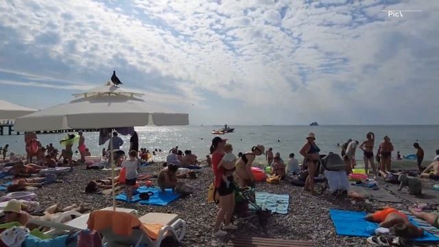 Сочи пляж Лазаревский сегодня 27 июня 2025. Море и погода Лазаревское сейчас. Сезон курорт в Сочи
