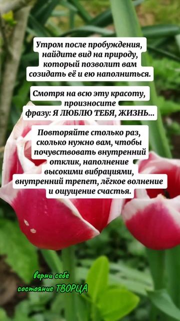 ЭТА ПРАКТИКА ТВОРИТ ЧУДЕСА.#shorts #психология #осознанность