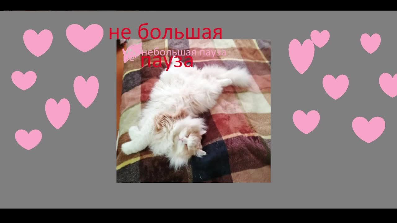 проэкт поиграем с алёной