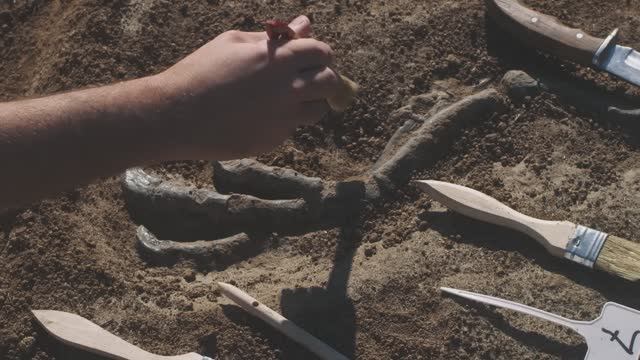 🏺Находки в Пустыне, которые поразили исследователей 🏺