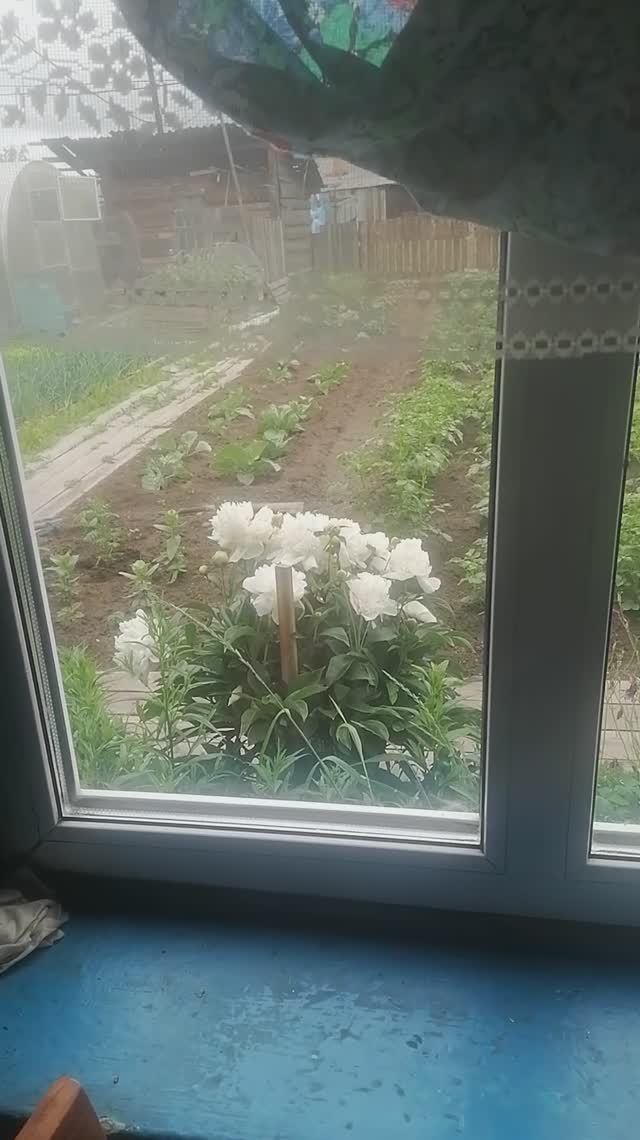 деревня,