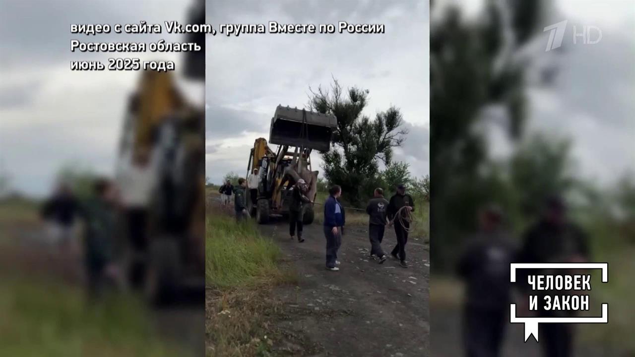 Видео недели. Верблюд, суслики и комары. Человек и закон. Фрагмент выпуска от 27.06.2025