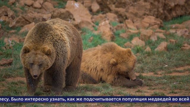 Обнинские новости (за 27 июня 2025)