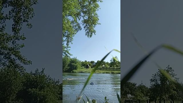 28-06-2025