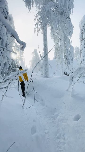 Когда обещали аномально-жаркое лето
