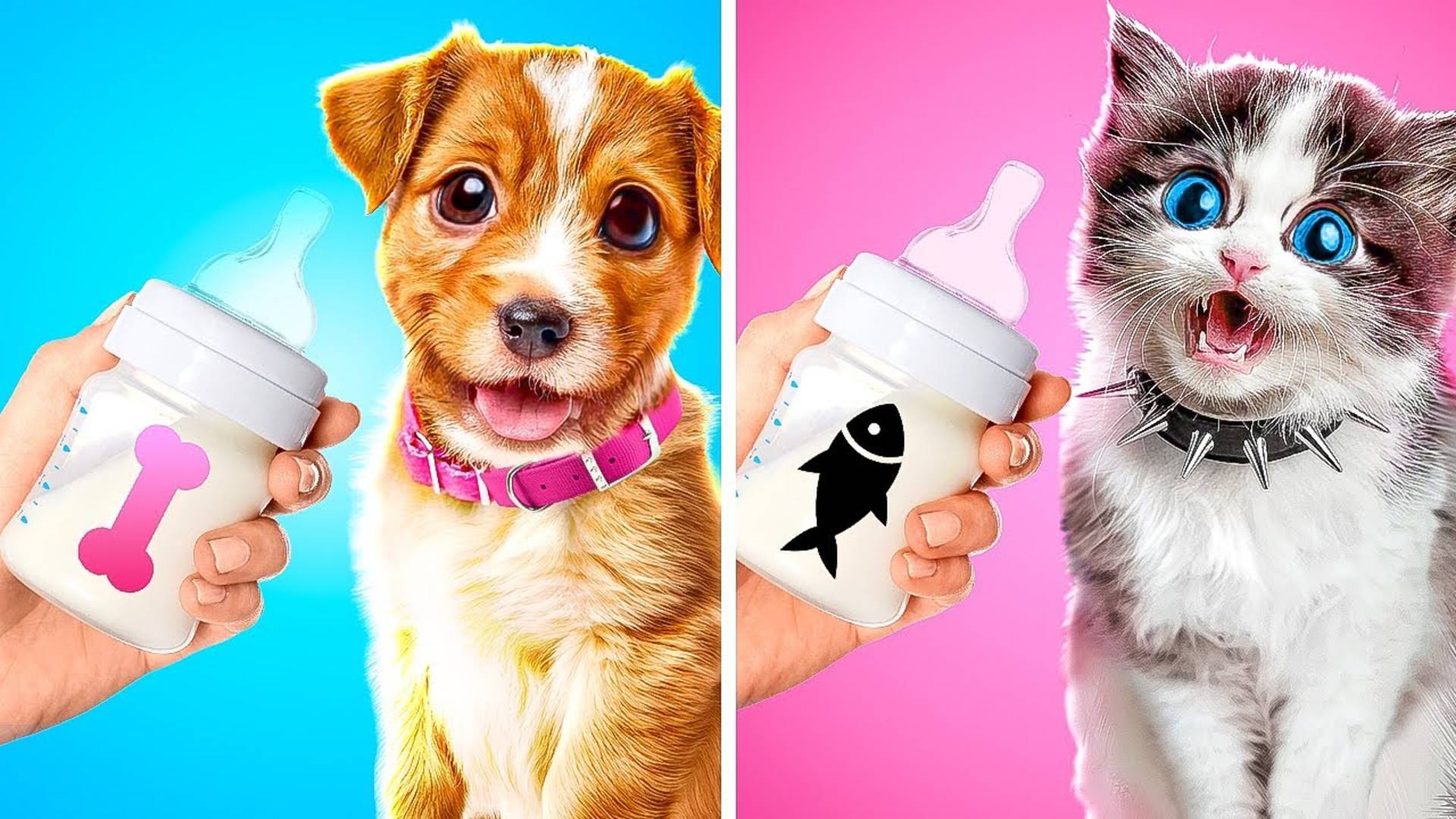 Я СПАСЛА МАЛЕНЬКИХ ЗВЕРУШЕК 🐶🐱! ТЕПЕРЬ У НИХ ЕСТЬ ДОМ 🏡💖