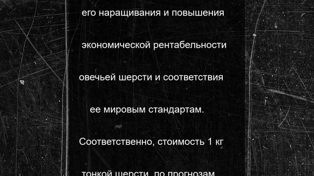В Калмыкии планируют повышать качество мериносовой шерсти