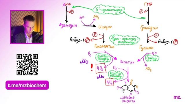 РАСПАД ПУРИНОВ, АЛЛОПУРИНОЛ за 6 МИНУТ // На Биохимическом