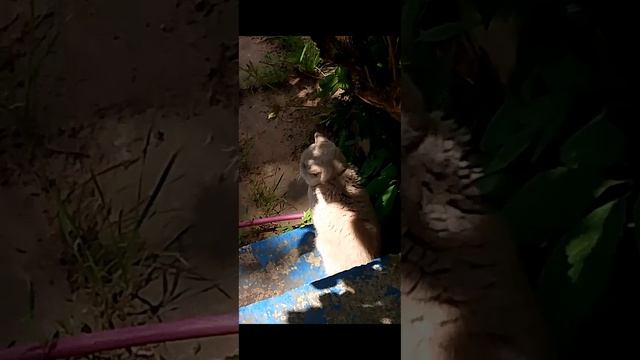 1 сезон 2 серия