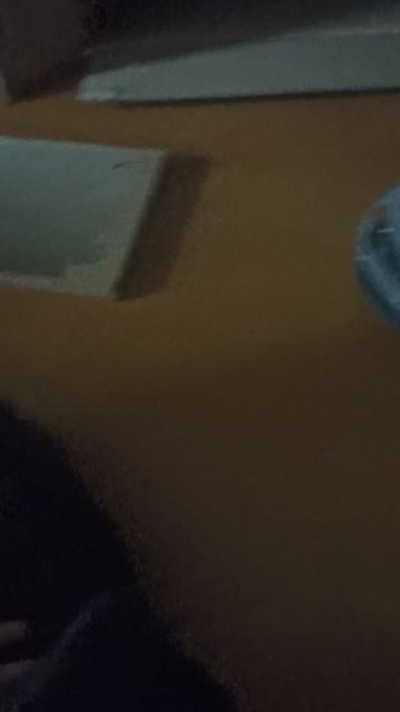 Новый кошачий дом