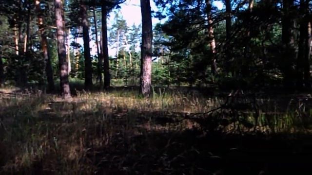 САМВЕЛ АДАМЯН, ОБЗОР ОТ СК, ГРАНДЕНИКО ТРУДНО ХОДИТЬ, ОТКАЗАЛИСЬ ЖРАТЬ У НАДЬКИ..