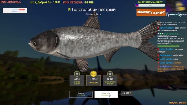 КУБОК БОЛЬШОГО МЕДВЕДЯ - ПОЛУФИНАЛ  Последние ЧАСЫ