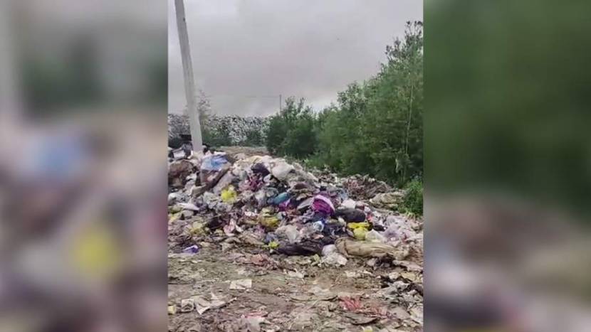 После пожара на свалке в воздухе Биробиджана вредных веществ не нашли