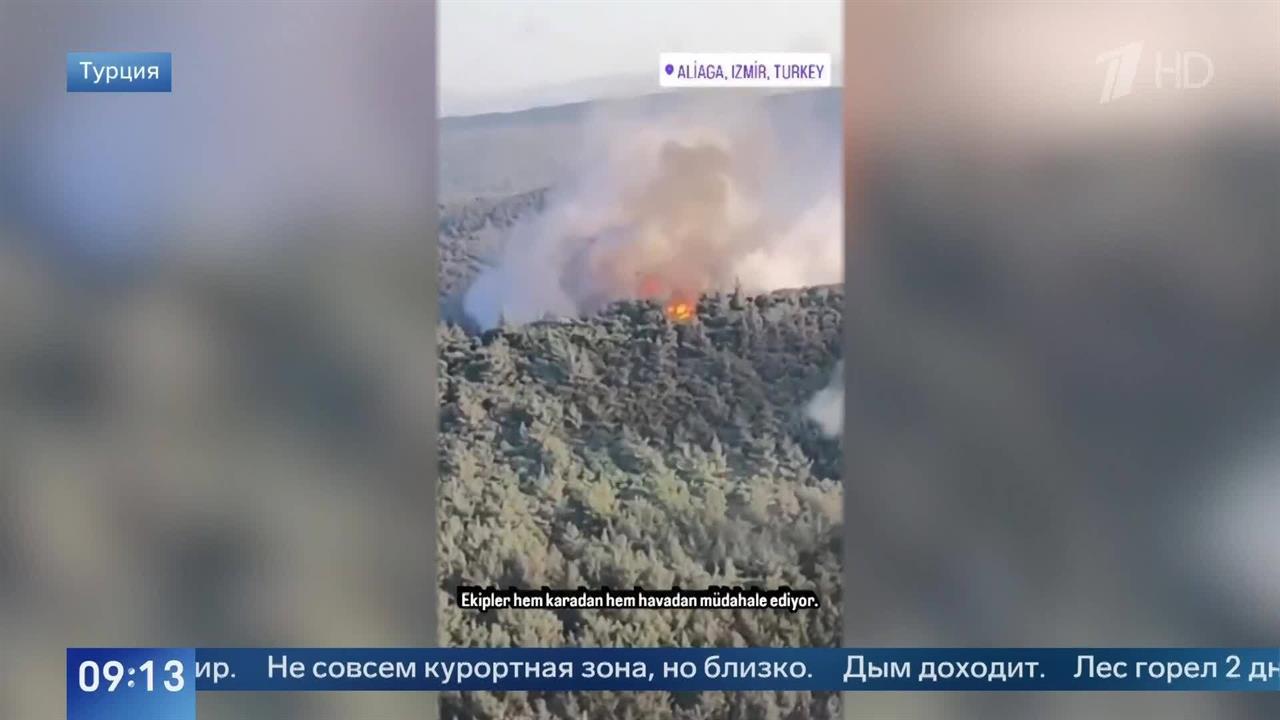 Появились кадры крупного лесного пожара в турецком Измире