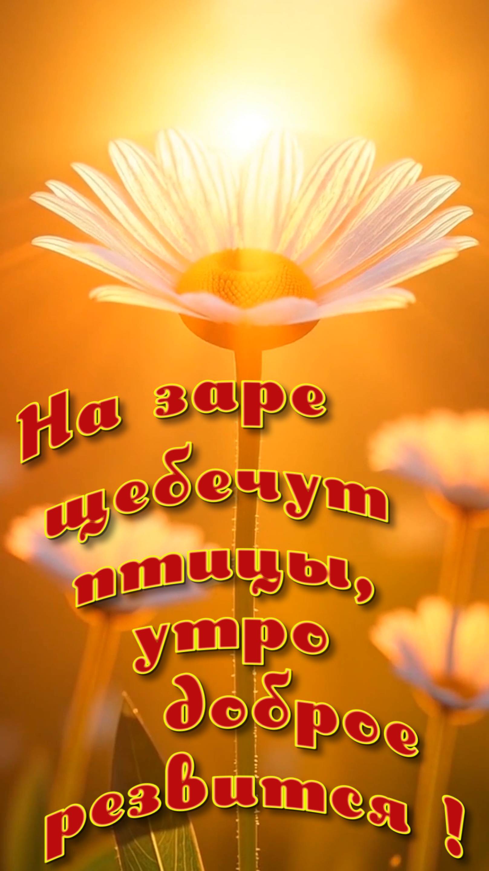 С Добрым утром !