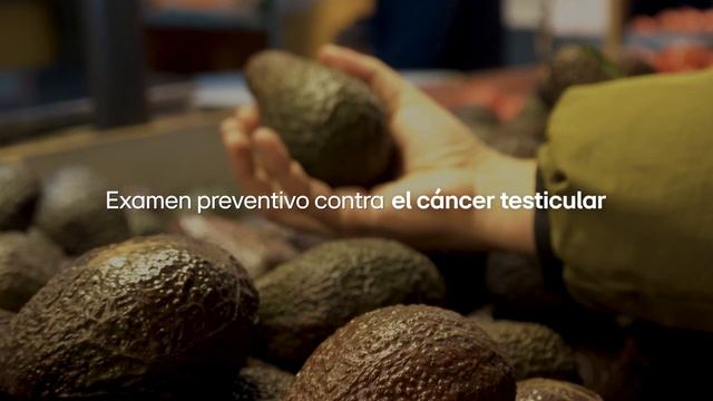 Paltest