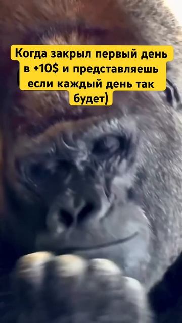 #скальпинг #инвестиции #криптовалюта #btc #трейдинг