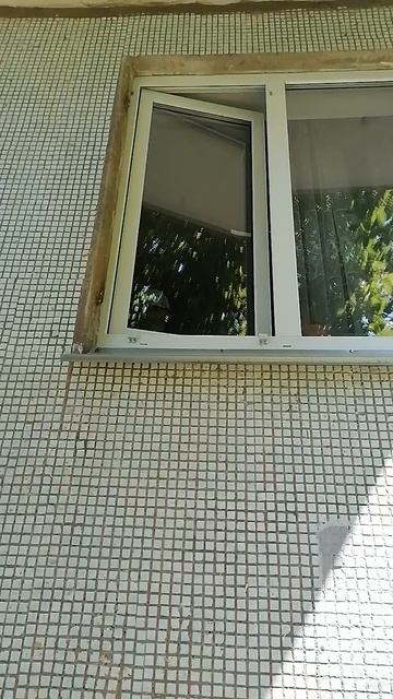 VID_20250627_135322.mp4