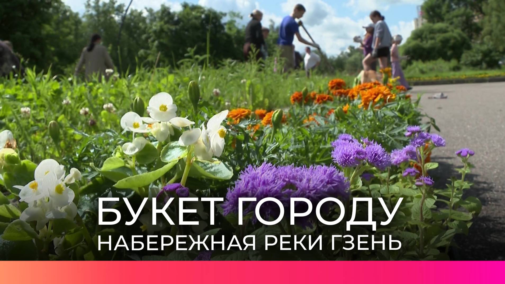 Добровольцы высадили цветы на клумбах набережной реки Гзень в Великом Новгороде