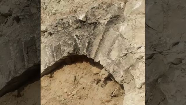 Случайная находка во время стройки - арка и «рельсы» под 15-метровым слоем земли в Молдове