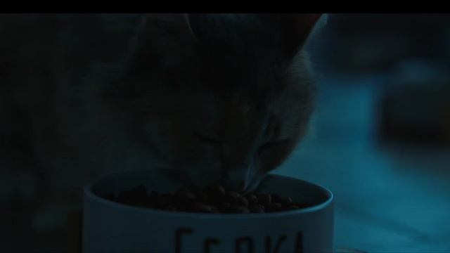 Рекламный видеоролик для Sirius