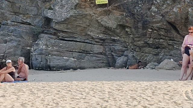 Дикий кабан на морском побережье