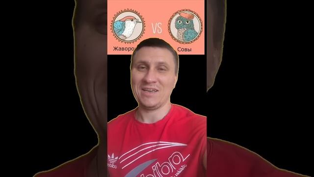 ранний подъём снижает риск депрессии #совы #жаворонки #здоровье #сон