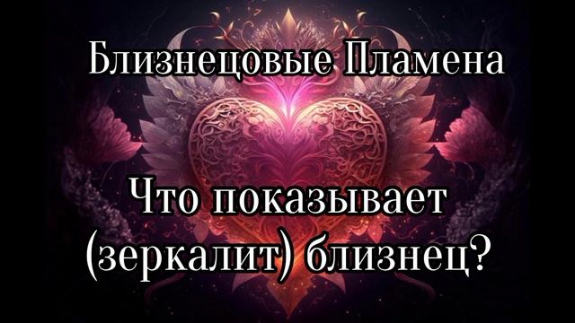 Что зеркалит близнец?