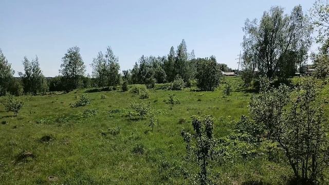 2918но 1551