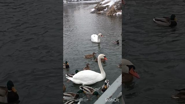 Приятный досуг.