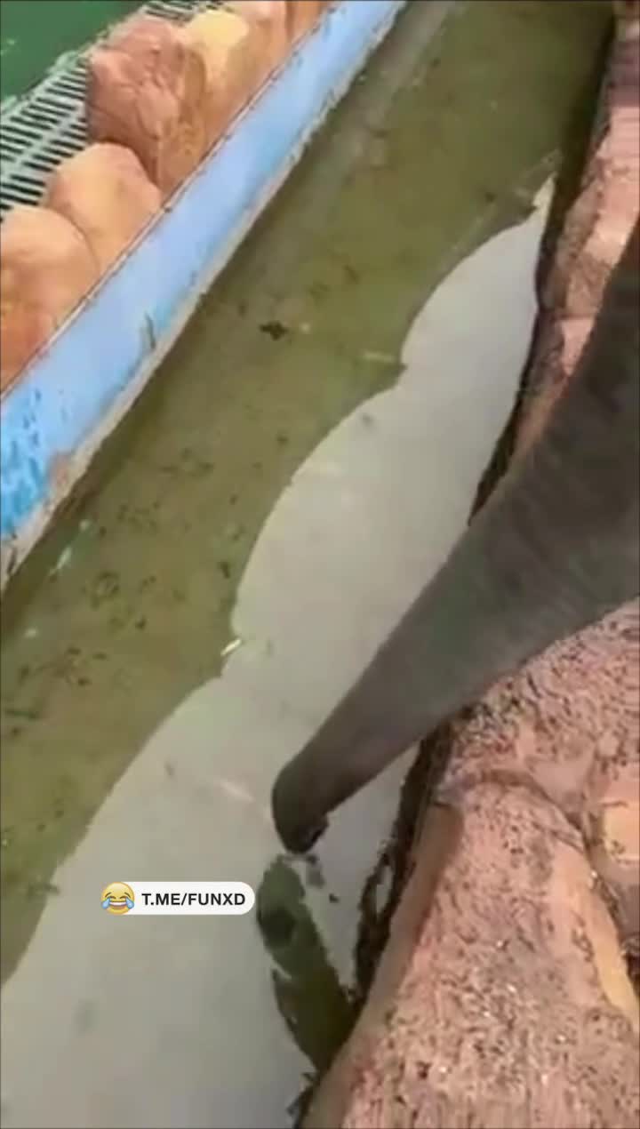 Хулиган😆