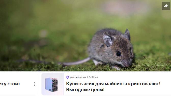 Играли трупами грызунов и ели мышей: будни детей из каменного века