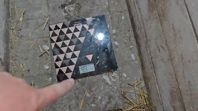 Андрей Новиков. Они набрали более 100 килограм. За сколько дней