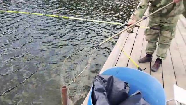 Карпуша с переходного