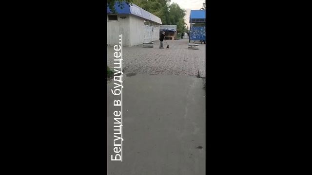 Бегущие