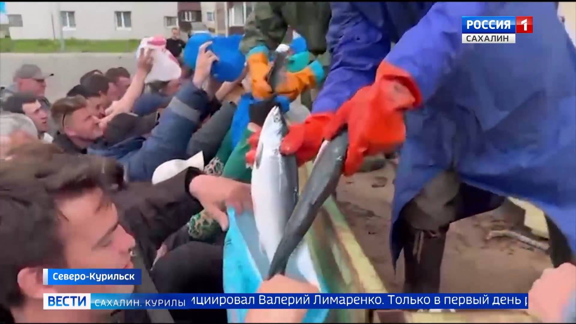 "Вести. Сахалин. Курилы". 26 июня 2025 года