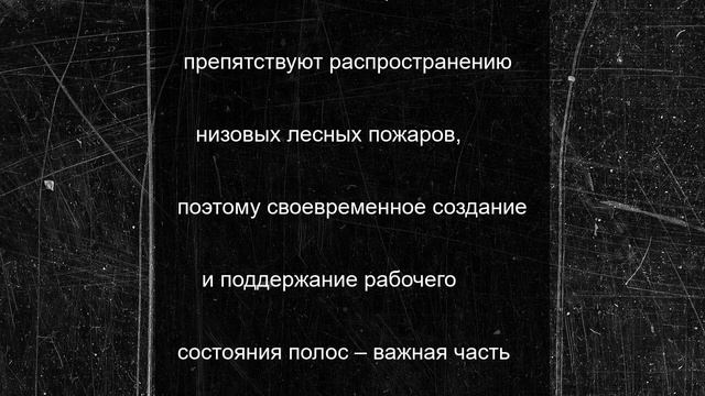 В Шебекинском округе обновили минерализованные полосы у лесов