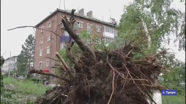 Коллаж 26.06.2025