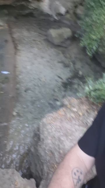 Здравия желаю вам крепкого!