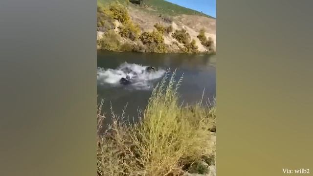 Забавные Видео с Лошадьми, Которые Изменят Ваше Настроение К Лучшему